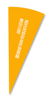 利来w66官网(中国区)_利来集团