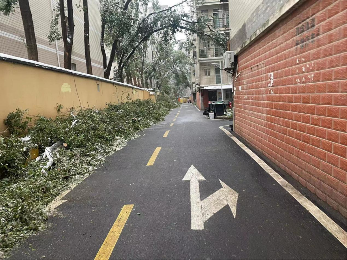 利来w66官网(中国区)_利来集团