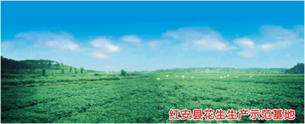 利来w66官网(中国区)_利来集团