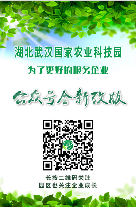 利来w66官网(中国区)_利来集团